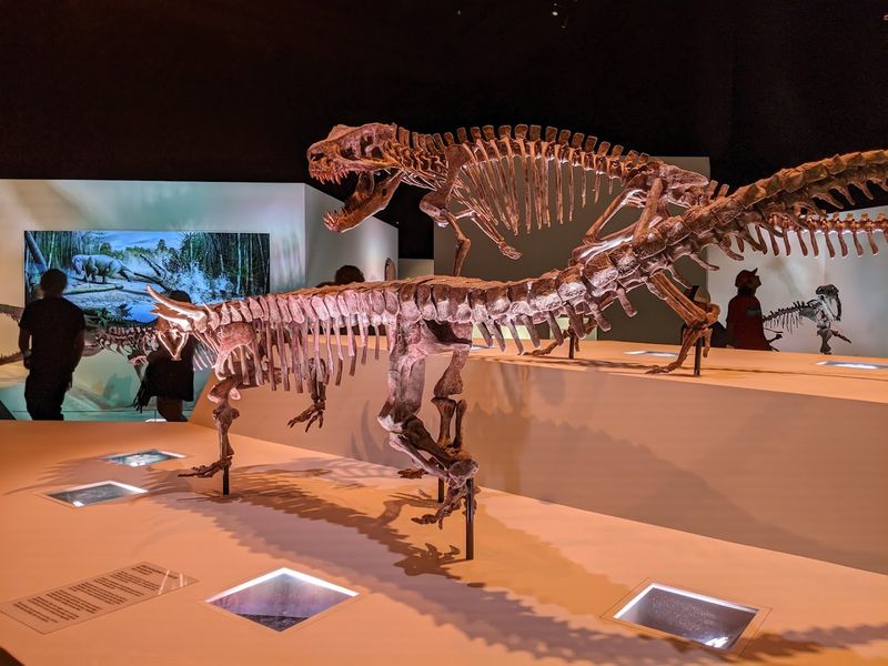 Family Planning Tips and Budget Hacks