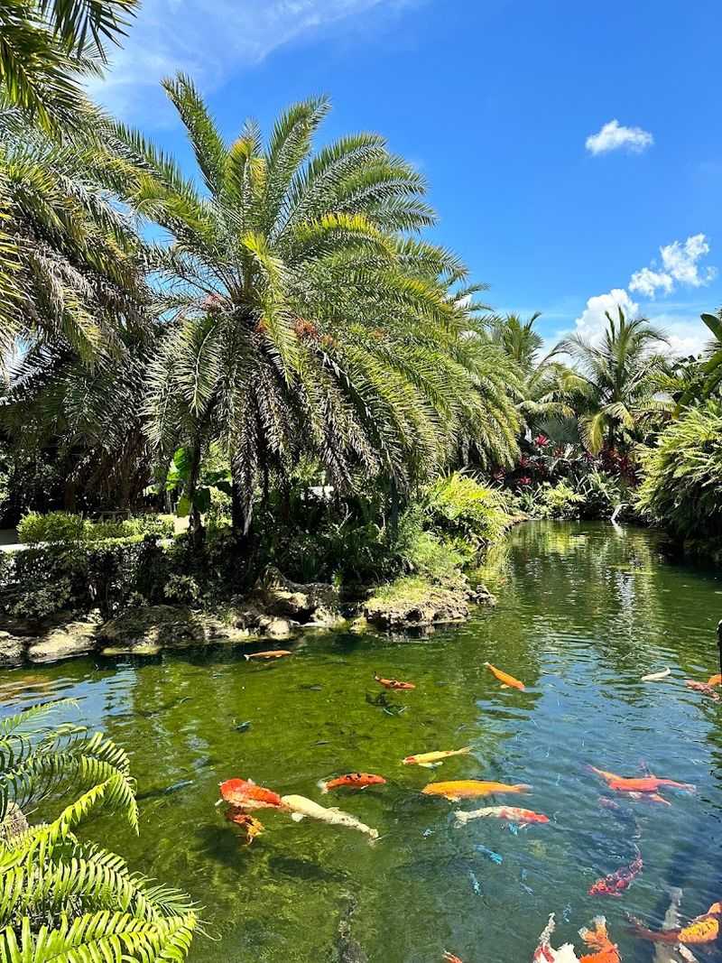 The Heart-Shaped Pond That Stole Instagram