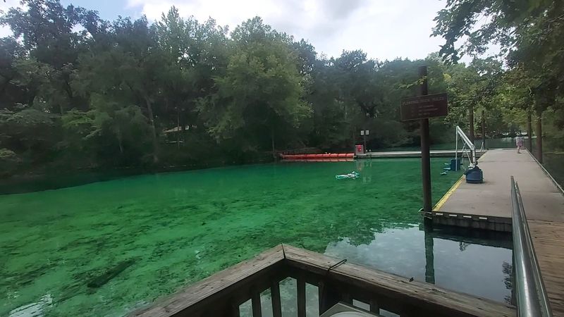 Accessibility Features Including Water Wheelchairs