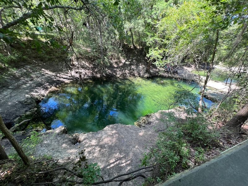 Lafayette Blue Springs State Park (Mayo)