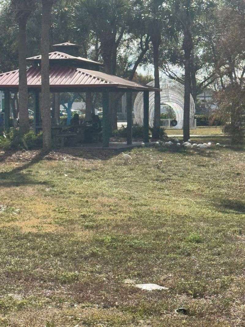 Shaded Picnic Areas Perfect for Family Gatherings