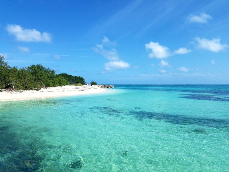 Snorkeling the Moat and Reefs