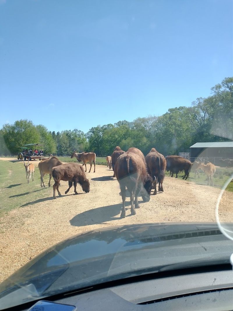 Best Time to Visit and Weather Wise Planning