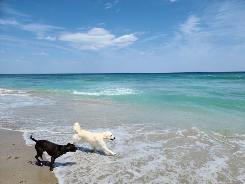 Walton Rocks Beach and Dog Park (Jensen Beach)