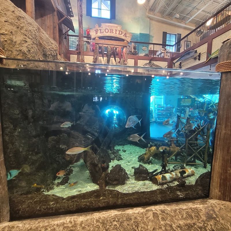 Clean Facilities And Family-Friendly Atmosphere