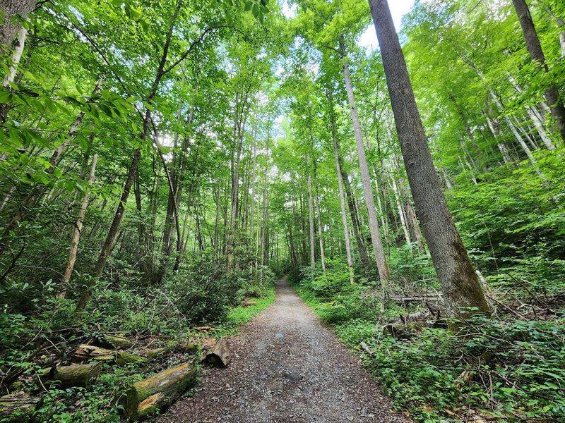 Getting There, Hours, Essentials