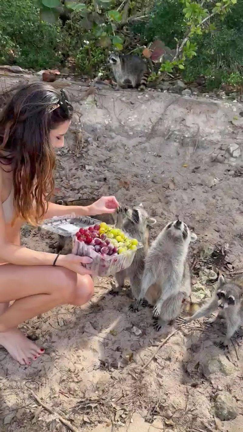 Respectful Interaction Keeps Everyone Safe