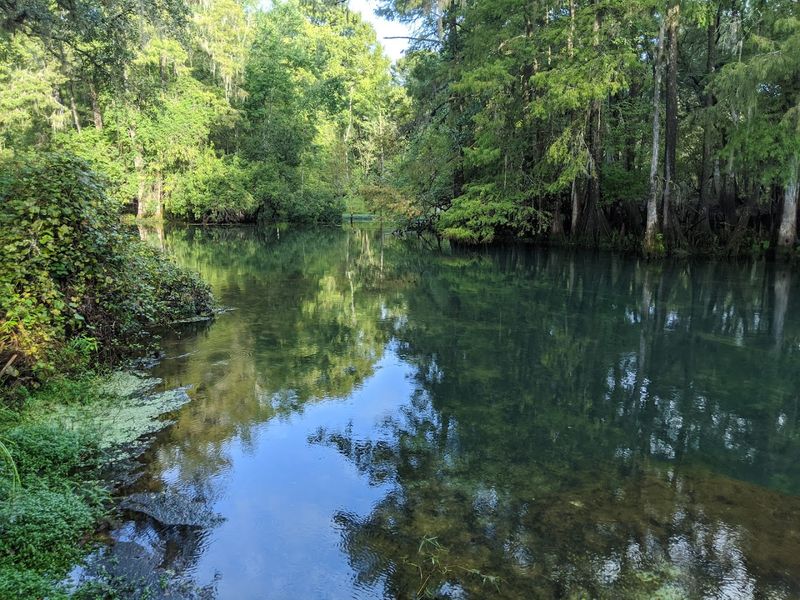 Manatee Springs State Park