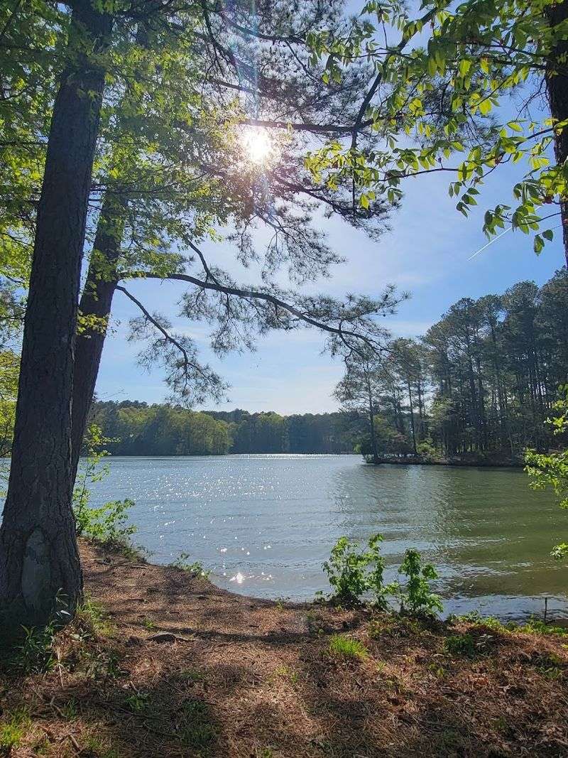 Cub Lake Trail — Natchez Trace State Park