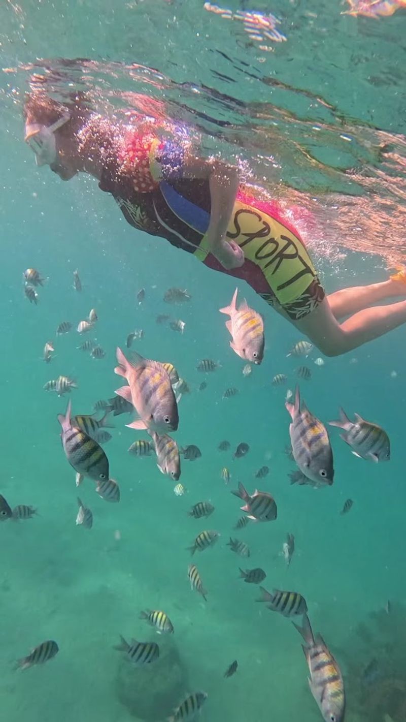 Incredible Marine Life Diversity