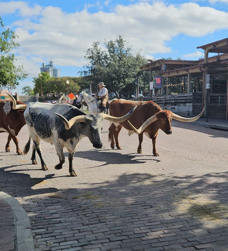 Year-Round Tradition Worth Experiencing Repeatedly