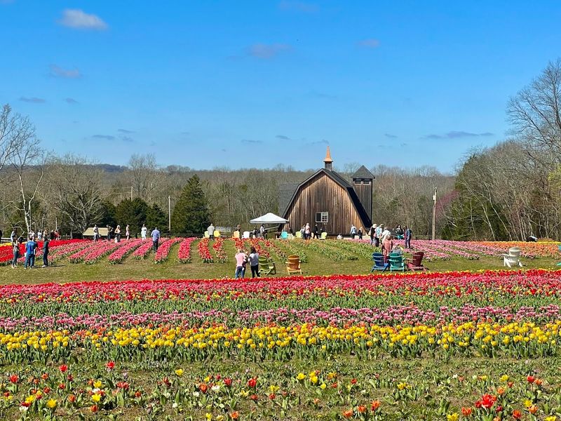 Welcome to Liberty Grace Farms: A Springtime Gem in Columbia