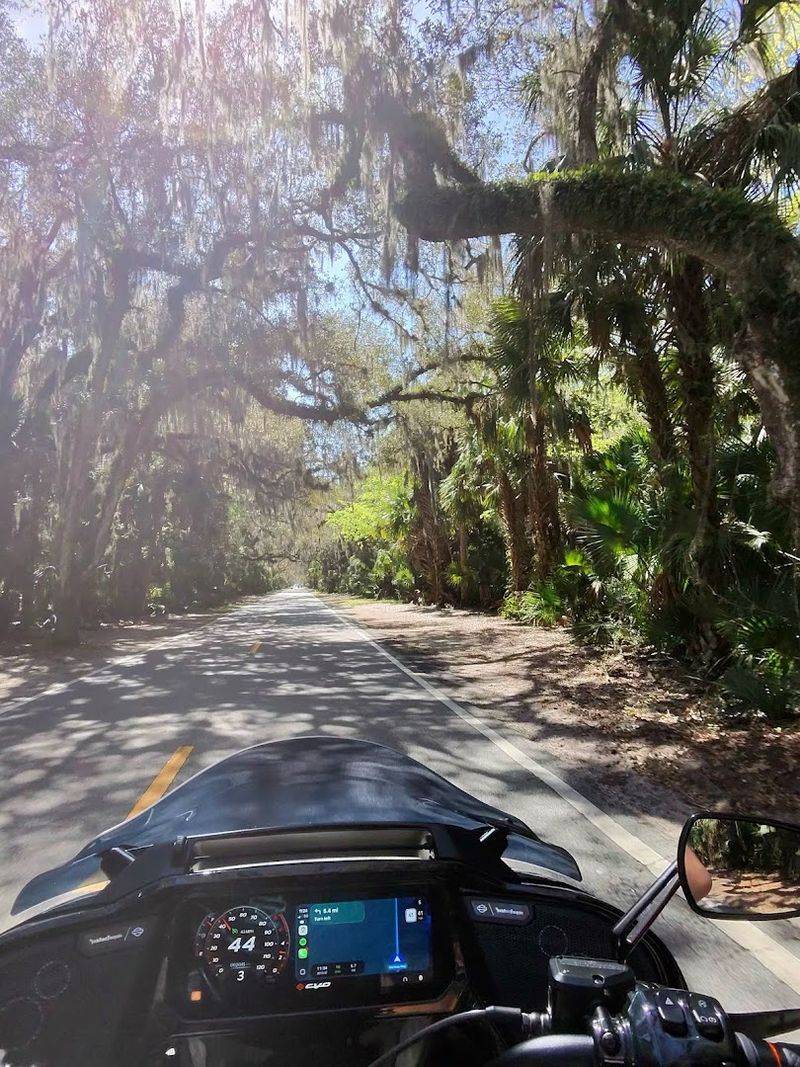 Perfect for Biking, Not Just Driving
