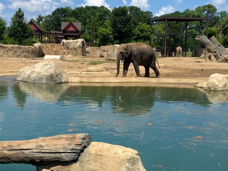 Training And Enrichment