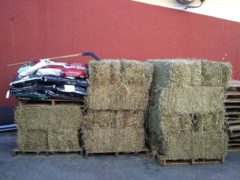 The Feed Store Next Door