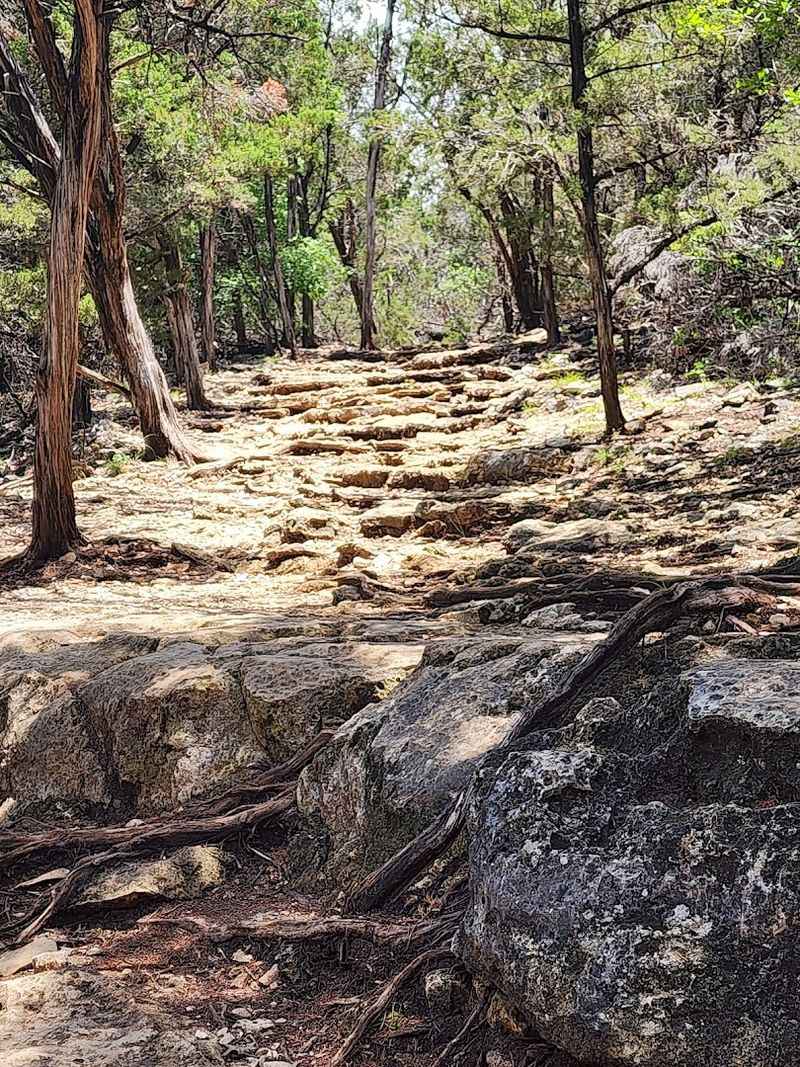 What to Pack for Success