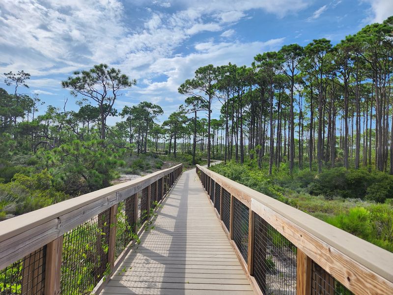 Nature Trails Through Coastal Ecosystems