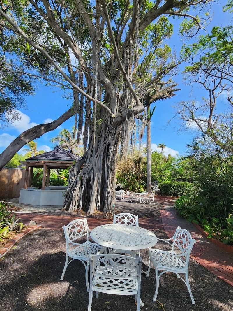 Perfect Picnic Spot Steps From the Beach