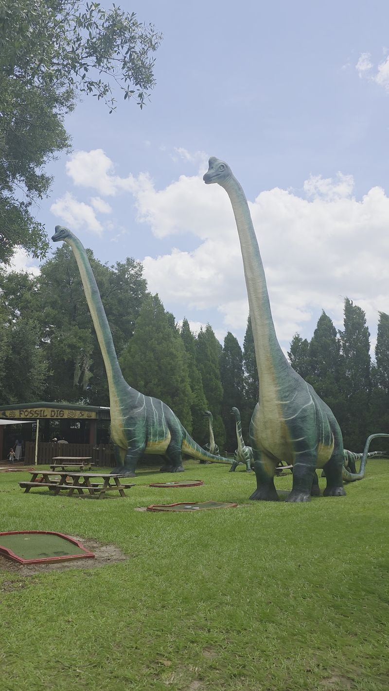 Food, Picnics, and Practical Tips