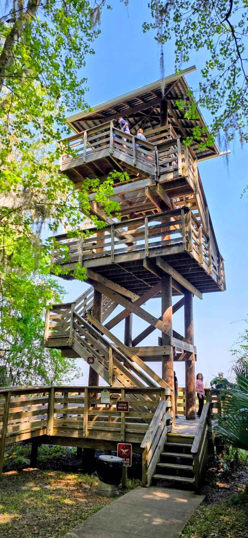 Paynes Prairie Preserve State Park Observation Tower (Micanopy)