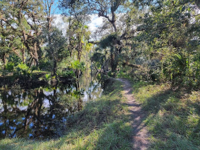 Seasonal Conditions and Timing