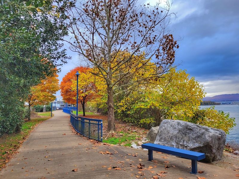 A Perfect Path for Walking, Biking, and Relaxing Outdoors