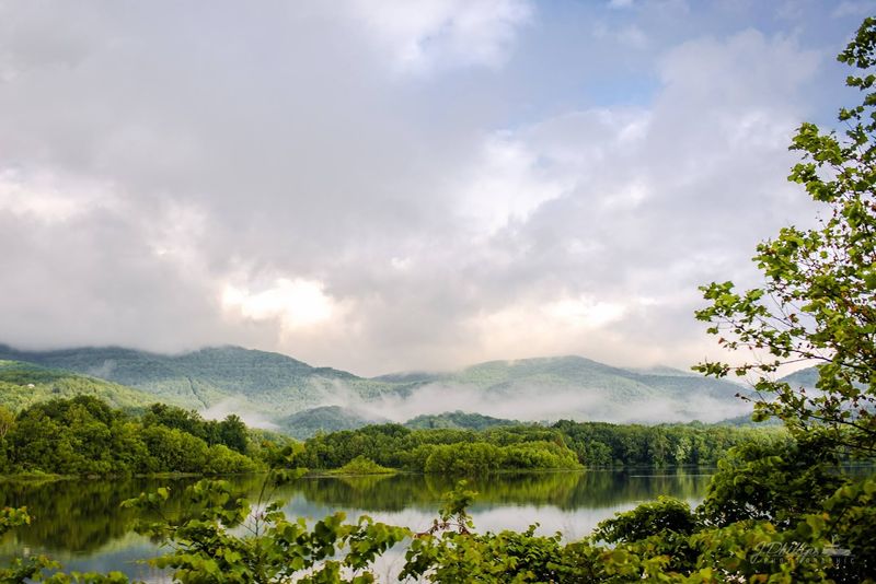 A waterfront setting that feels hidden in plain sight