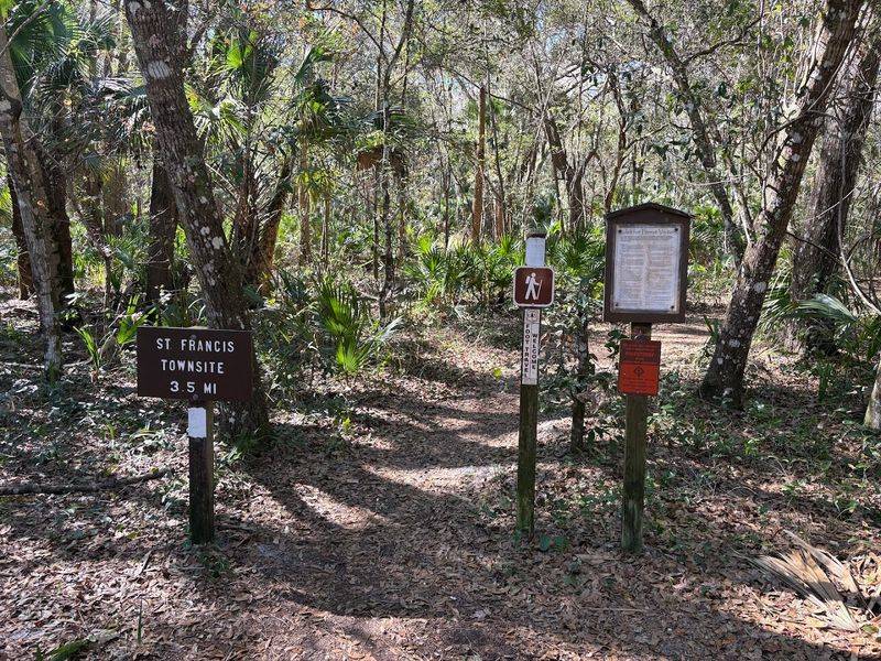 Navigating the Well-Marked Trail System