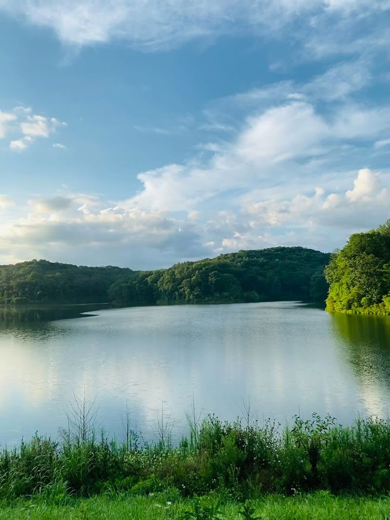 Dow Lake's Quiet Heart