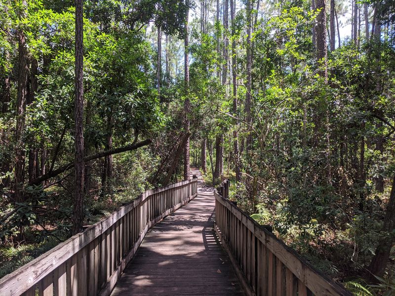 Tibet-Butler Nature Preserve (Orlando)