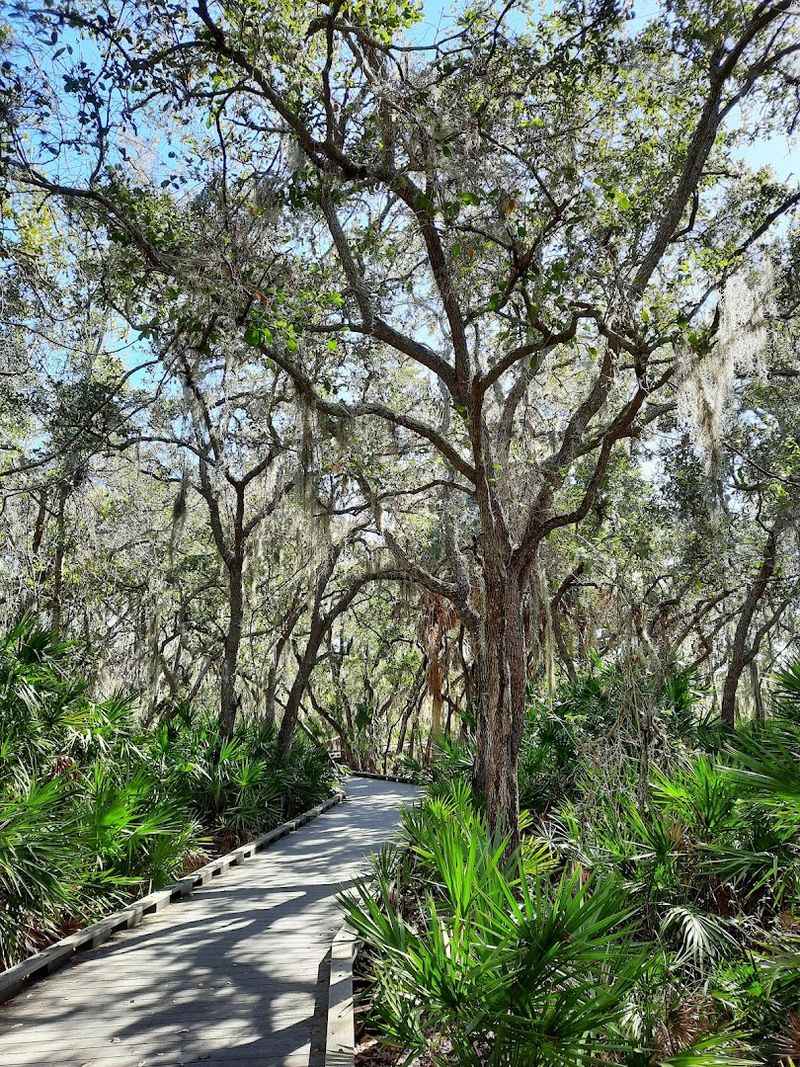 Peaceful Nature Trails Network