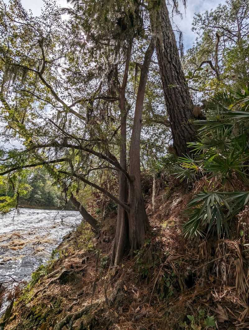 Big Shoals State Park (White Springs)