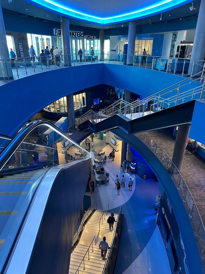 Three-Story Design Lets You See Marine Life From Every Possible Angle