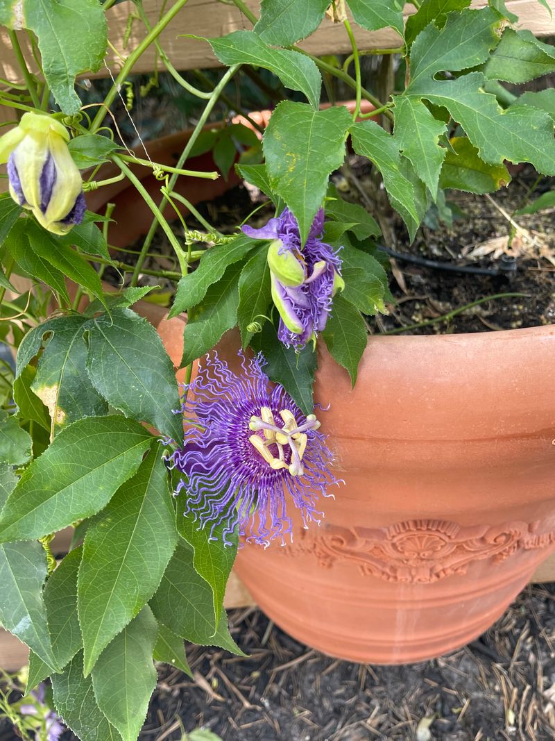 Tickets, Discounts, and Gift Shop Finds