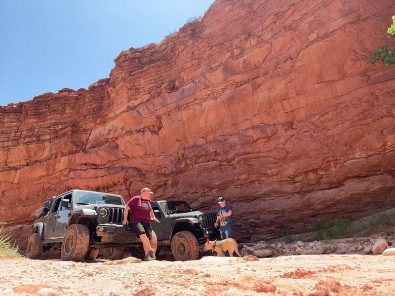 Professional Staff Who Actually Care