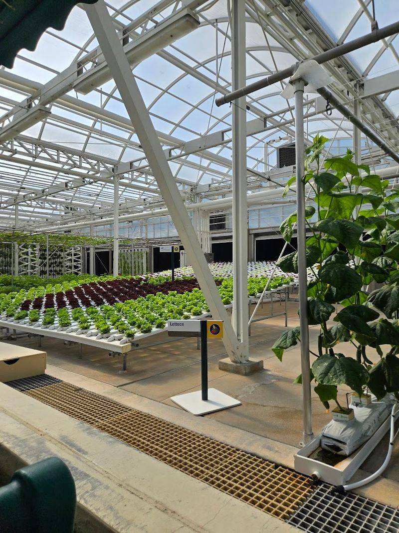 The Land Greenhouse Growing Techniques