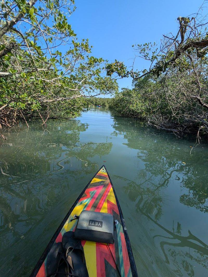 Honor Jim Neville's Environmental Legacy
