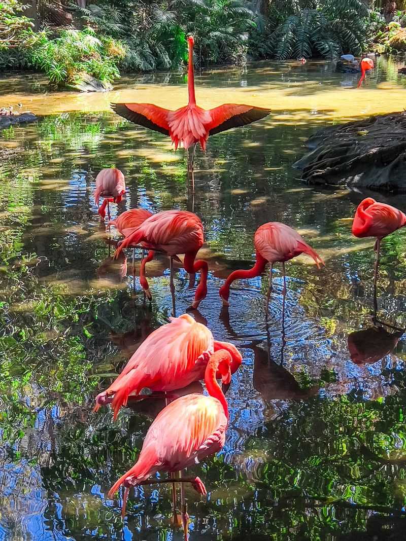 Palm Beach Zoo & Conservation Society (West Palm Beach)