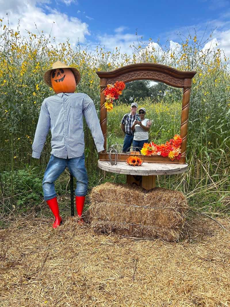 Pumpkins, Flowers, and Photos Worth Framing