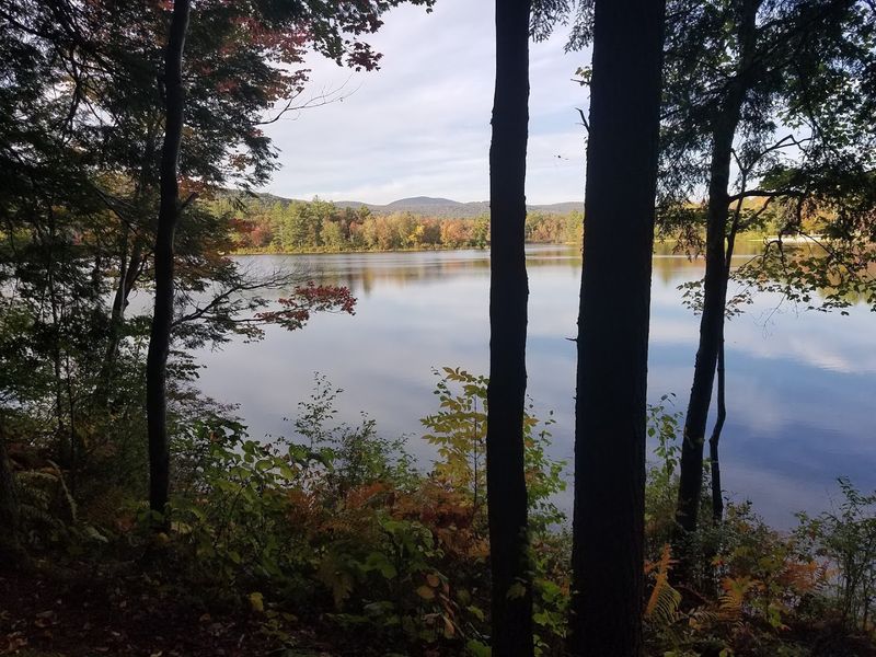 Family Time and Ranger Programs