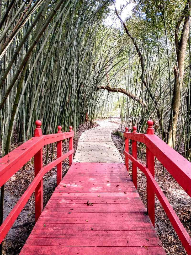 Bamboo Grove Serenity Walk