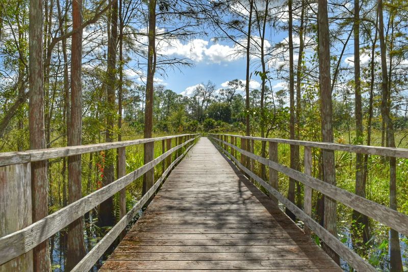 When To Go and How Long It Takes