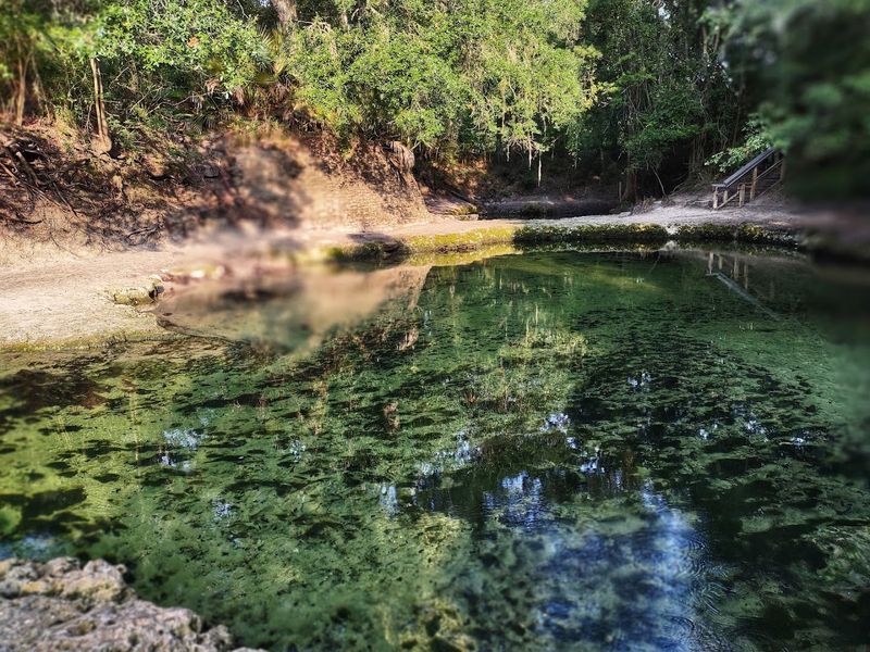 A Natural Limestone Bridge You Won't Find Anywhere Else