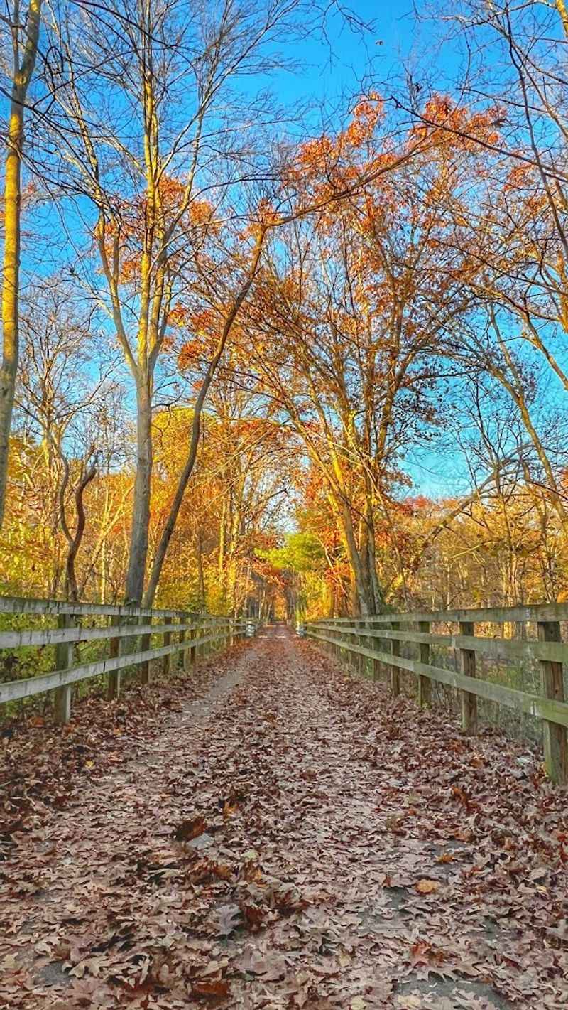 Bruce Freeman Rail Trail