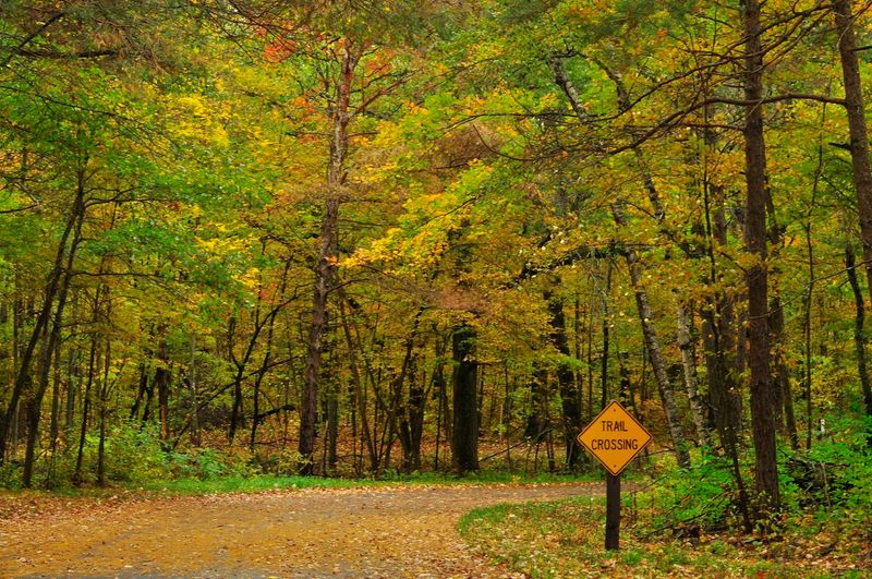 Wild River State Park (Center City)