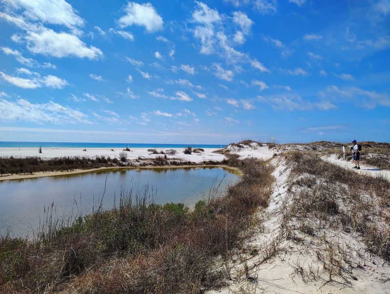 Camp Helen State Park