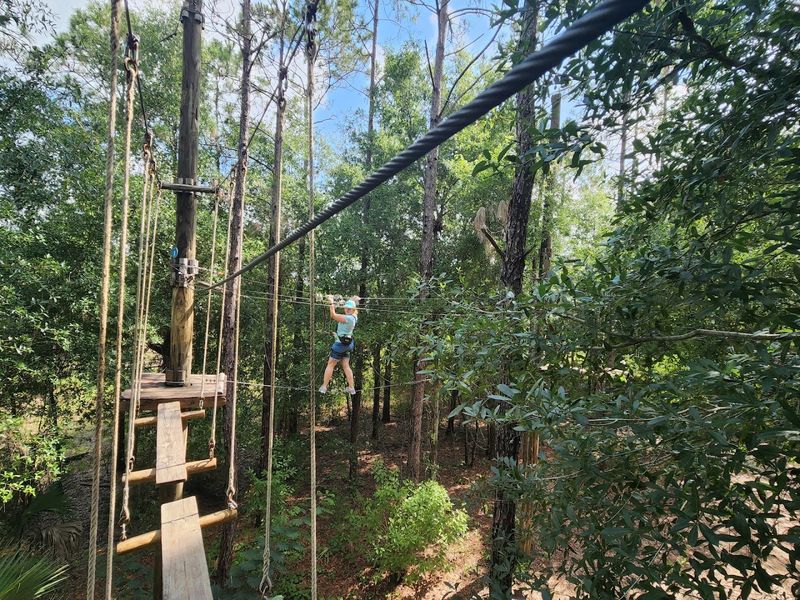 Orlando Tree Trek Adventure Park (Kissimmee)