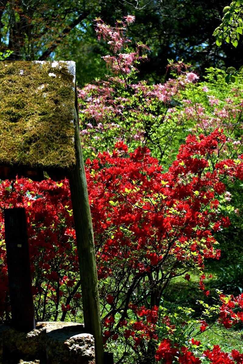 Winding Paths, Bright Blooms, and Corners Worth Lingering In