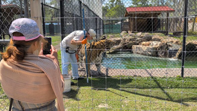 Getting Up Close During the Guided Tours