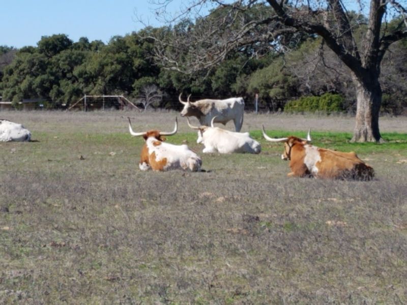 The Working Ranch That Never Quit